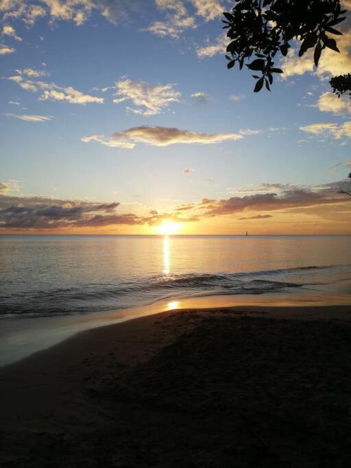 Ti' Papaye Anse A L'Ane Apartment Les Trois-Ilets Luaran gambar